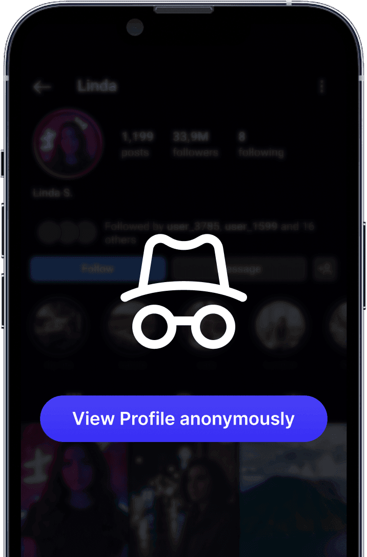 Instagram profile viewer